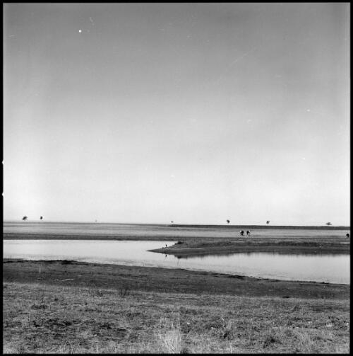 Landscape across dam at Dobikin, Moree, New South Wales, ca. 1970 [picture] / Wes Stacey