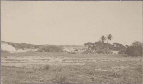 View of the island towards the salt works, Rottnest Island, Western Australia, ca. 1915 [picture] / Karl Lehmann