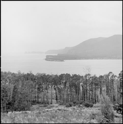View of forested coastline at Port Arthur, Tasmania, ca. 1970 [picture] / Wes Stacey