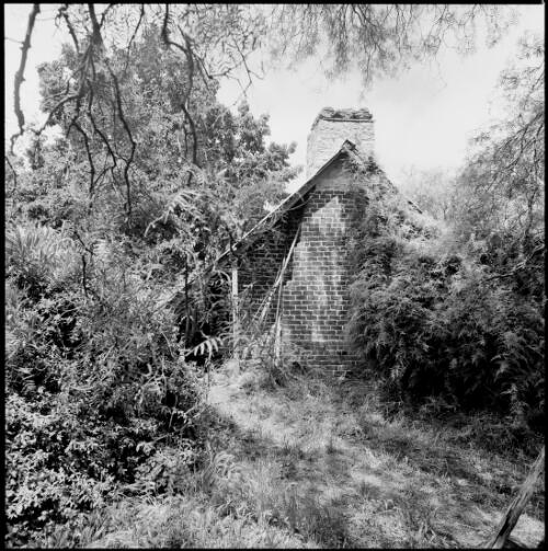 Brick chimney on overgrown brick cottage, Western Australia, ca. 1970 [picture] / Wes Stacey
