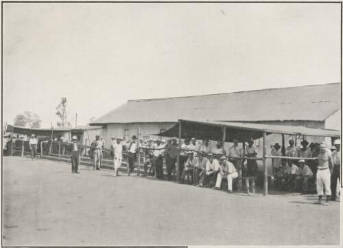 Bowling alley, Holsworthy internment camp, New South Wales, ca. 1917 [picture]