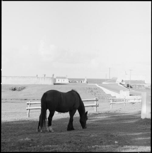 Looking towards Kingston Pier with the walls of the gaol to the left, Kingston, Norfolk Island, ca. 1970 [picture] / Wes Stacey