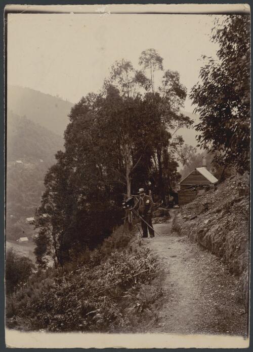 Photographer with camera on tripod outside his hut above tram left hand branch, Walhalla, Victoria, ca. 1896 [picture]