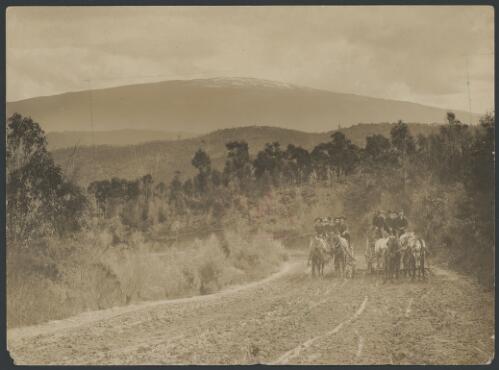 Two horse-drawn wagons with men travelling up a hill, Walhalla region, Victoria, ca. 1900 [picture]