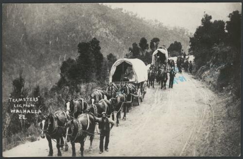 Teams of horses pulling covered wagons, Walhalla, Victoria, 1905? [picture] / Lee