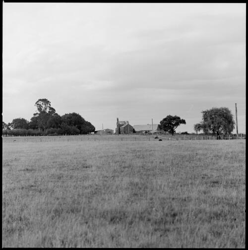 Paddocks leading to distant buildings, Evandale, Tasmania, ca. 1970 [picture] / Wes Stacey