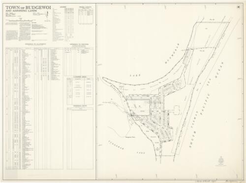 Town of Budgewoi and adjoining lands [cartographic material] : Parish-Wallarah, County-Northumberland, Land District-Gosford, Shire-Wyong, Pastures Protection District-Maitland / printed & published by Dept. of Lands Sydney