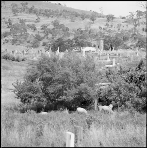 Rows of headstones at cemetery and tower of St Lukes church in distance, Richmond, Tasmania, ca. 1970 [picture] / Wes Stacey