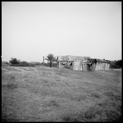 Shack ruins, Ravenswood, Queensland, ca. 1970 [picture] / Wes Stacey