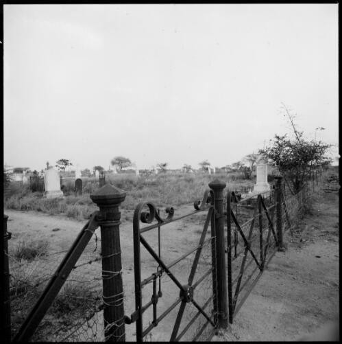 Wrought iron posts and gates of the cemetery, Ravenswood, Queensland, ca. 1970 [picture] / Wes Stacey