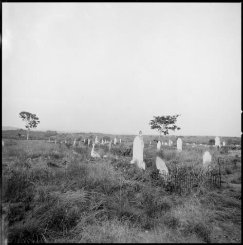 Cemetery, Ravenswood, Queensland, ca. 1970 [picture] / Wes Stacey