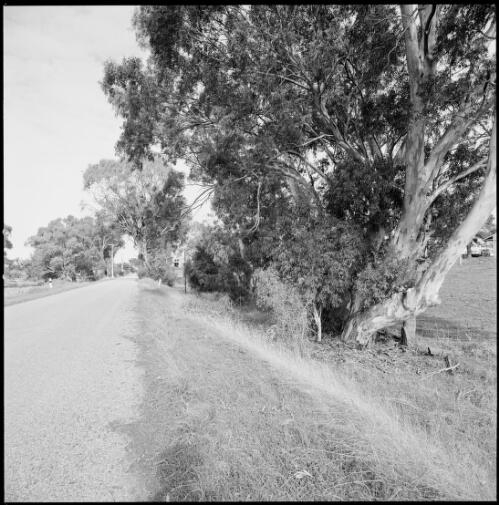 Old highway viewed from the verge, Mintaro, South Australia, ca. 1970 [picture] / Wes Stacey