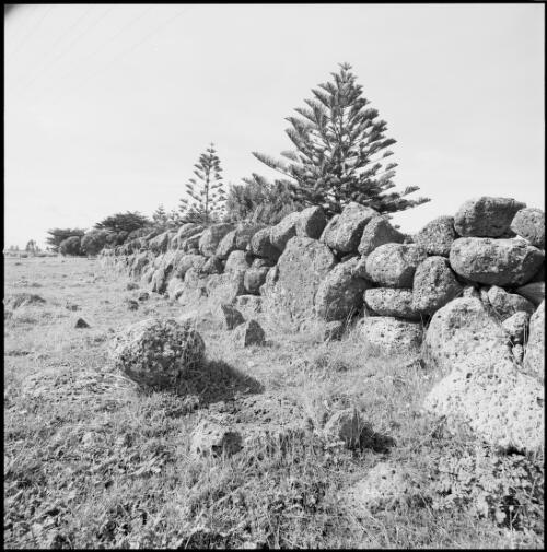 Volcanic stone walls, Port Fairy, Victoria, ca. 1970 [picture] / Wes Stacey