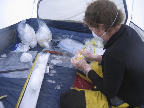 Glaciologist student Shavawn Donoghue sampling an ice core taken from Brown Glacier, Heard Island, Antarctica, January 2004 [picture] / Doug Thost