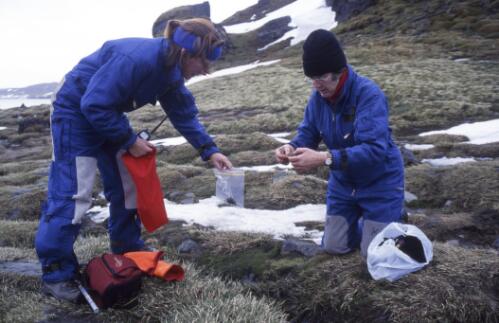 Botanists Jenny Winham standing left, and Patricia Selkirt collecting plant samples on Heard Island, Antarctica, October 2000 [picture] / Doug Thost