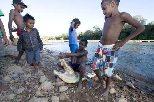 Five young Aboriginal boys playing with a dead crocodile, Nauiyu community, Daly River crossing, Northern Territory, 26 July 2010 [picture] / Darren Clark