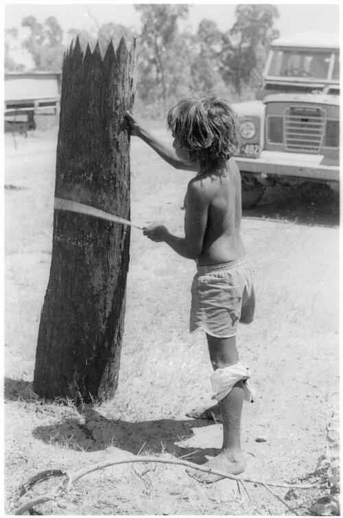 Young boy preparing a section of bark for painting, Mornington Island, Queensland, approximately 1980 / Gregory Owen