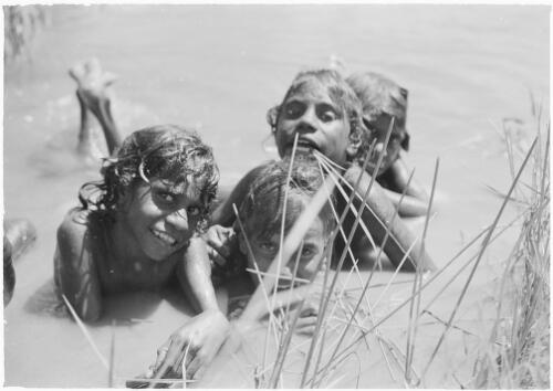 Four girls in the shallows of a waterhole, Mornington Island, Queensland, approximately 1980 / Gregory Owen