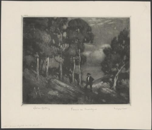 Gums in moonlight, 1911 [picture] / Lionel Lindsay