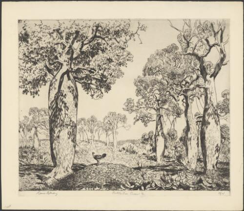 Bottle trees, Cracow, Queensland, 1932 [picture] / Lionel Lindsay