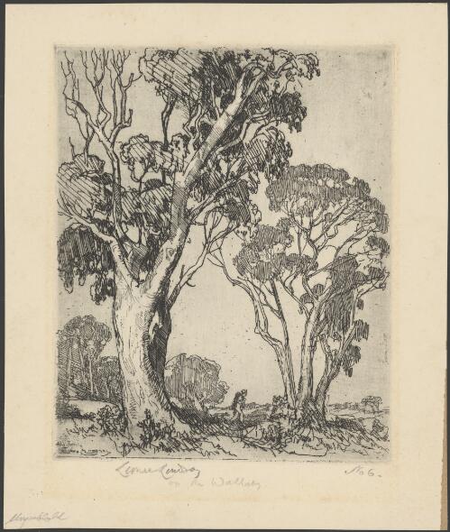 On the wallaby, 1917? [picture] / Lionel Lindsay