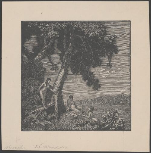 The nymphs [picture] / Lionel Lindsay