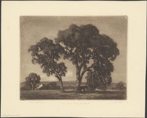 Two trees near Ambleside, South Australia, 1924 [picture] / Lionel Lindsay