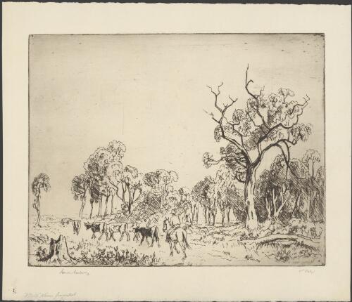Droving cattle, 1 [picture] / Lionel Lindsay