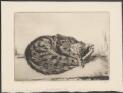 A cat asleep, 1932 [picture] / Lionel Lindsay