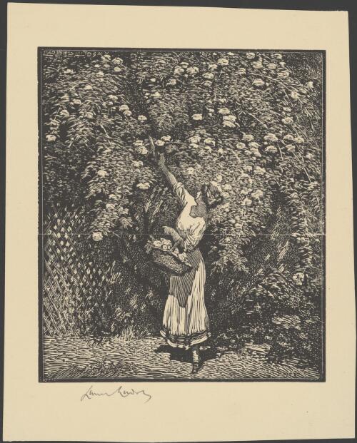 Climbers, the trellis [picture] / Lionel Lindsay