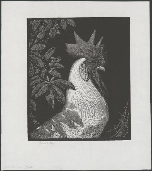The emperor [picture] / Lionel Lindsay