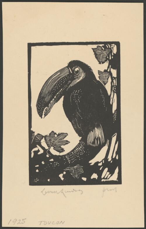 Toucan [picture] / Lionel Lindsay