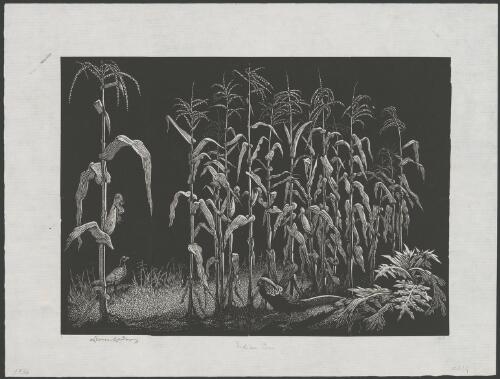Indian corn [picture] / Lionel Lindsay