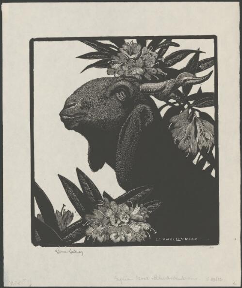 Syrian goat and rhododendrons [picture] / Lionel Lindsay