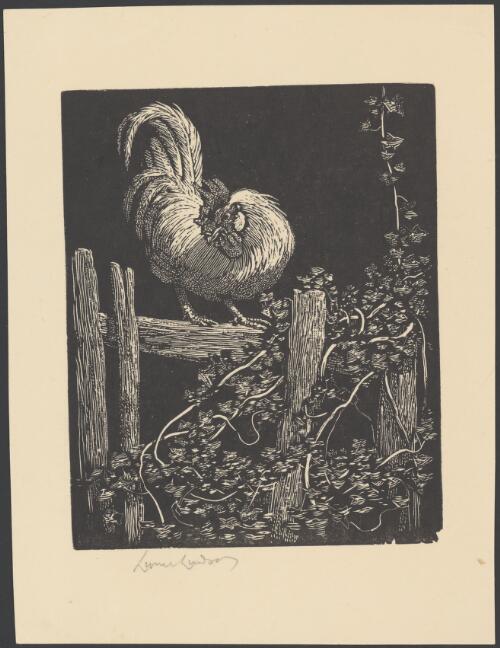Rooster on fence [picture] / Lionel Lindsay