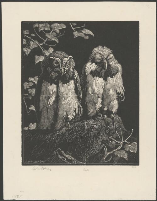 Owls [picture] / Lionel Lindsay