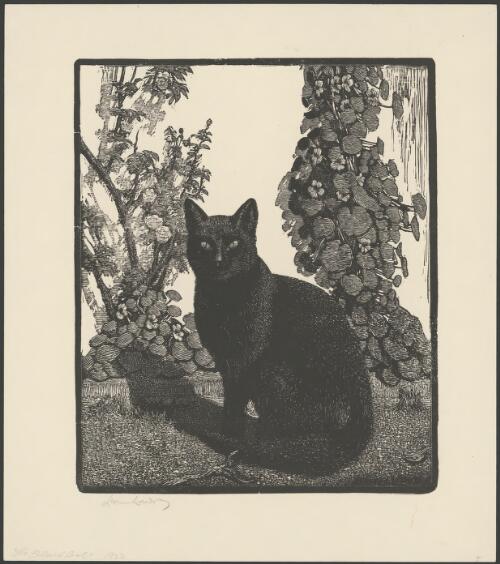 The black cat [picture] / Lionel Lindsay