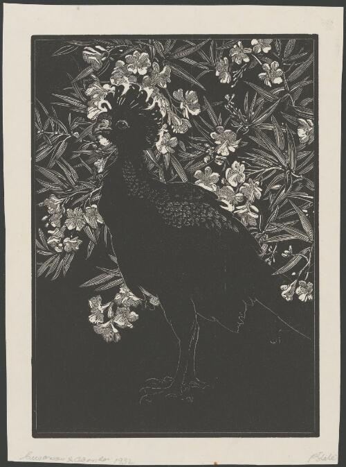 Curassow and oleander, 2 [picture] / Lionel Lindsay