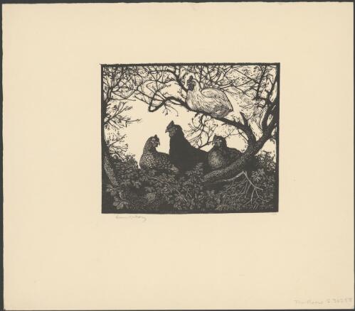 The roost, 1924 [picture] / Lionel Lindsay
