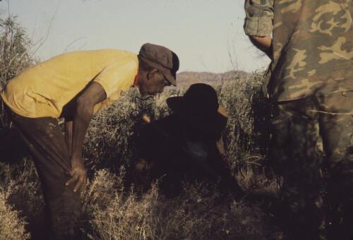 Two Aboriginal men digging, Papunya Tula, Northern Territory, 1980 [transparency]