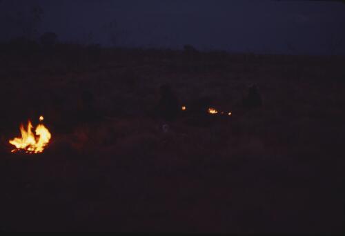 Campfire at night, Papunya Tula, Northern Territory, 1980 [transparency] / Andrew Crocker