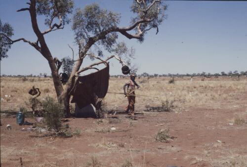 Charlie Tarawa Tjungarrayi at his shelter, Papunya Tula, Northern Territory, November 1983 [transparency] / Andrew Crocker
