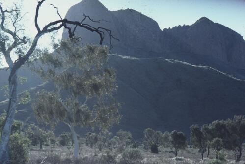 Near Haasts Bluff, Northern Territory, 1976 [transparency] / Penny Tweedie