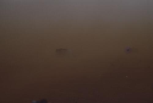Dust storm, Papunya, Northern Territory, November 1983 [transparency] / Andrew Crocker