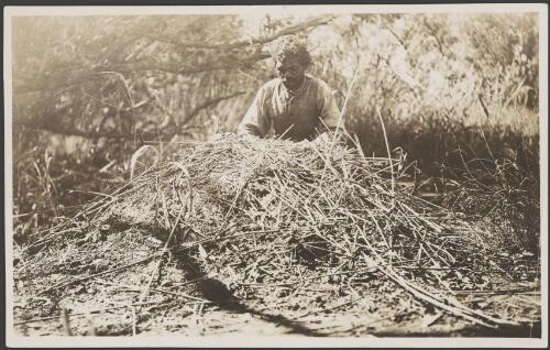 Aboriginal man investigating a crocodile nest, Gulf of Carpentaria, 1914 [picture] / Frank Hurley