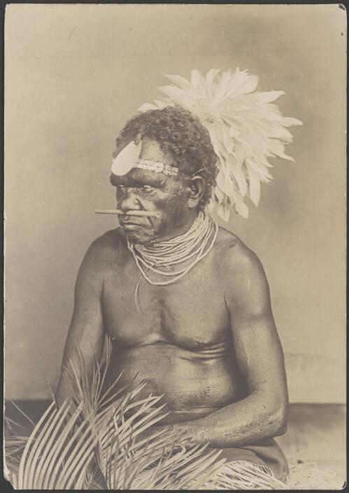 Portrait of an Aboriginal man with a shell and feather headdress and a nose piercing, Queensland, ca. 1900 [picture] / Handley & Atkinson Photographers