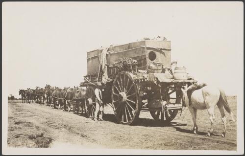 Horse team pulling a wagon carrying large water tanks, 1914 [picture] / Frank Hurley