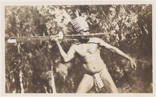 Aboriginal man, wearing a cylindrical hat with feathers on its top, in the motion of throwing a spear, Nicholson River region, Queensland, 1914, 2 [picture] / Frank Hurley
