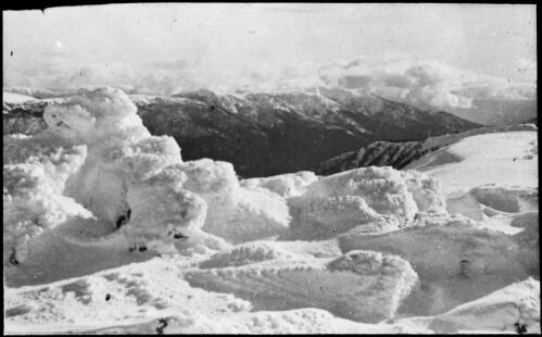 Snowdrift, Victoria, approximately 1920, 2 / Robert Wilkinson