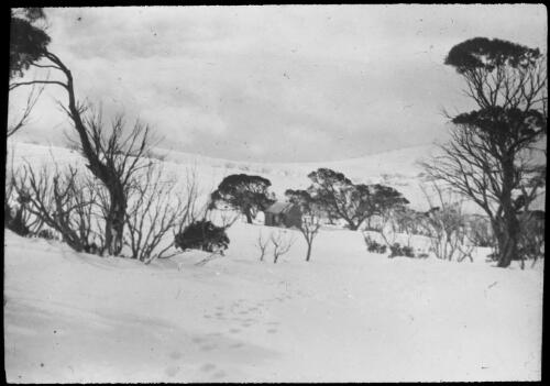 A hut surrounded by trees in a snow covered landscape, Victoria, approximately 1920 / Robert Wilkinson